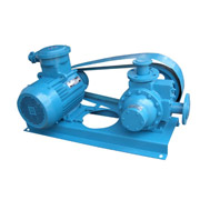 Rotary vane pump (YQB)